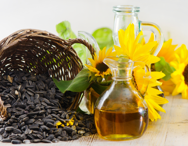 dầu ăn hoa hướng dương thực phẩm chay thực phẩm thuần thực vât Quảng Duyên