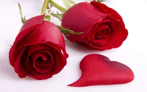 Hoa Hồng làm đẹp, trắng da, mịn da từ Sabai Arom