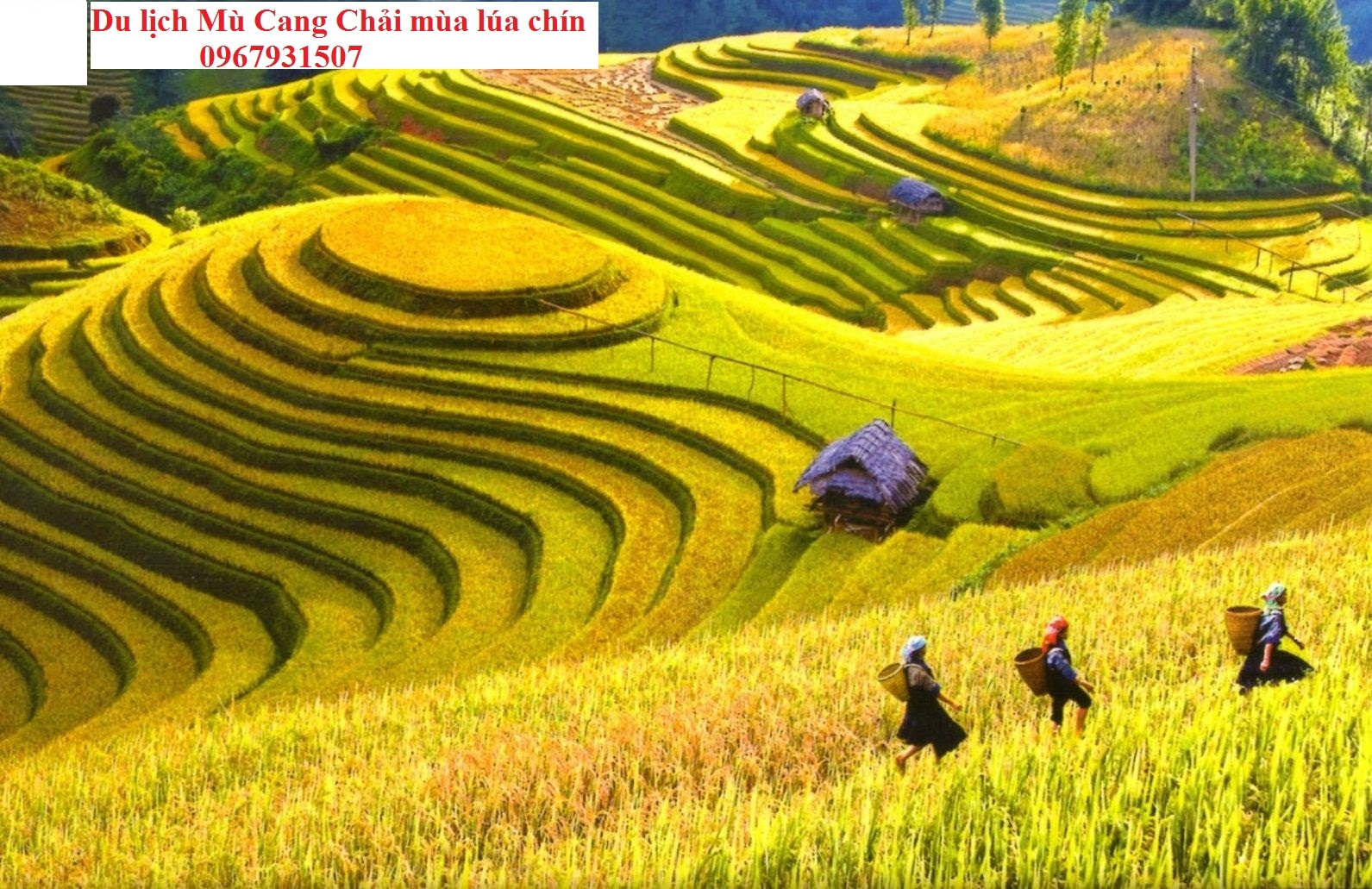 Du lịch miền bắc