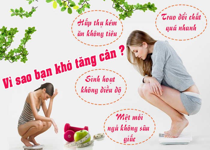 Vì sao bạn khó tăng cân?
