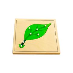 Ghép hình lá cây<br>Leaf Puzzle(MDF Material)