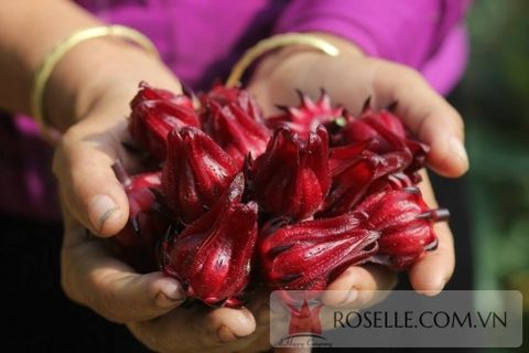 quà tết doanh nghiệp 4