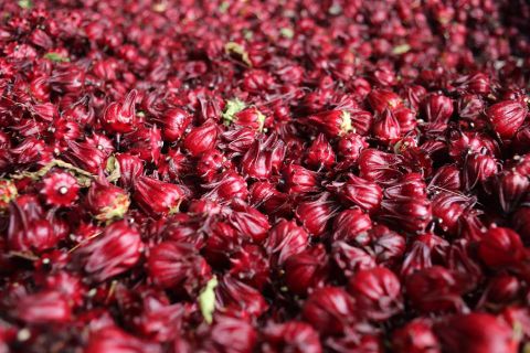 quà tết gia đình chồng 2