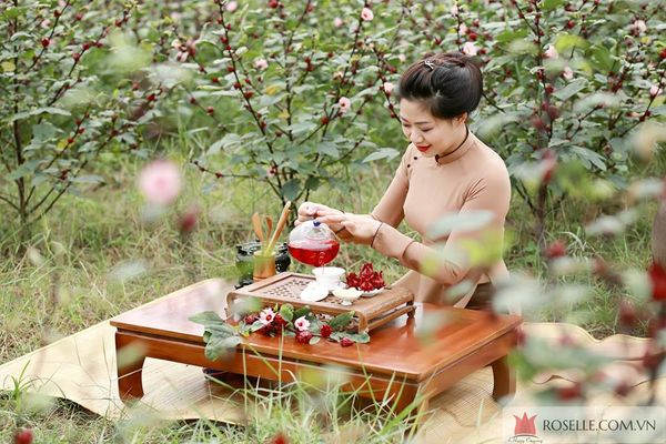 quà tết tặng ông bà 2