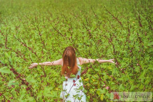 ngày tết của những cô nàng độc thân 3