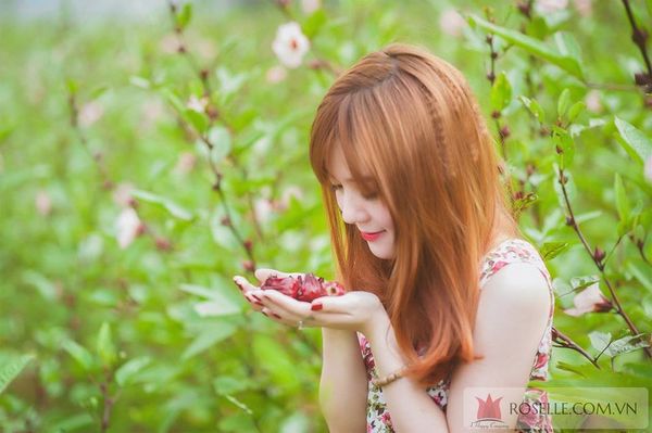 ngày tết của những cô nàng độc thân