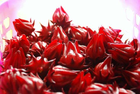 quà tết về quê 2