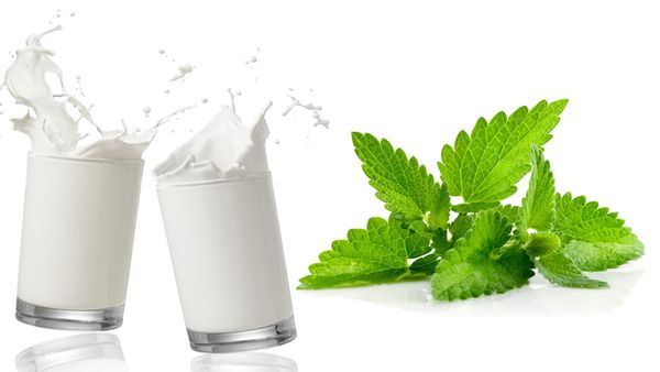 Những phương pháp tắm trắng tại nhà siêu đơn giản với sữa tươi bạn nên biết