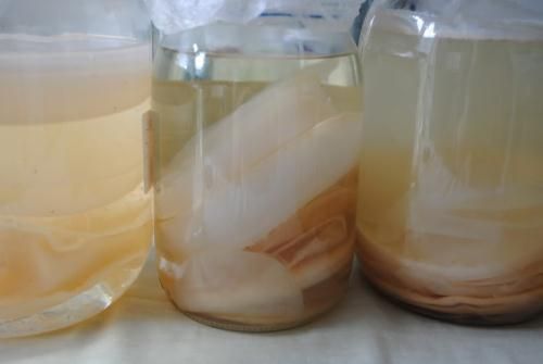 Điếm danh 10 thực phẩm nên ăn khi muốn giảm cân nhanh nhất