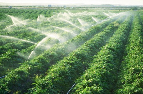 banner_slide_1 banner_slide_1