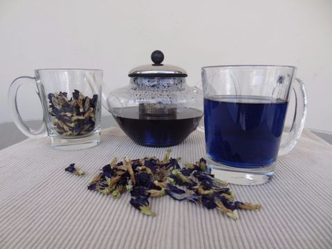butterfly pea tea синий чай купить butterfly pea tea синий чай купить