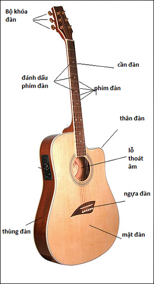 Hướng dẫn mua đàn Acoustic Guitar