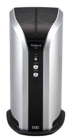 ROLAND PM03 SPEAKER