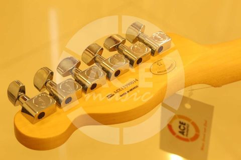 FENDER 0140082550 STANDARD SWIRL TELECASTER