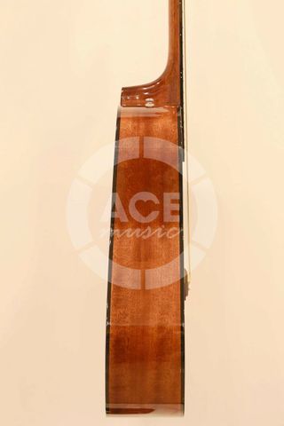 FENDER 0961539221 CD-60 NATURAL