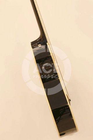 FENDER 0968080006 T-BUCKET 200CE
