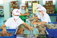 Thủ Tục Cấp Đổi Giấy Chứng Nhận Cơ Sở Đủ Điều Kiện An Toàn Thực Phẩm