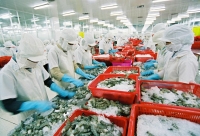 Vệ Sinh An Toàn Thực Phẩm Cho Cơ Sở Sản Xuất Và Kinh Doanh Bánh Phồng Tôm