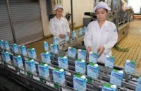 Vệ Sinh An Toàn Thực Phẩm Cho Cho Cơ Sở Sản Xuất Kinh Doanh Sữa - Các Sản Phẩm Từ Sữa