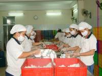 Đăng Ký Giấy Phép Vệ Sinh An Toàn Thực Phẩm Cho Cơ Sở Chế Biến Suất Ăn Sẵn, Suất Ăn Công Nghiệp Tại Sở Y Tế