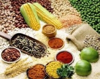 Đăng Ký Vệ Sinh An Toàn Thực Phẩm Cho Cửa Hàng Gạo, Lương Thực, Ngũ Cốc