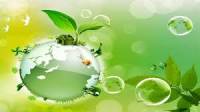 Thủ Tục Lập Báo Cáo Giám Sát Môi Trường Định Kỳ