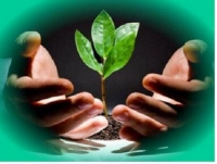 Thủ Tục Đăng Ký Kế Hoạch Quản Lý Môi Trường