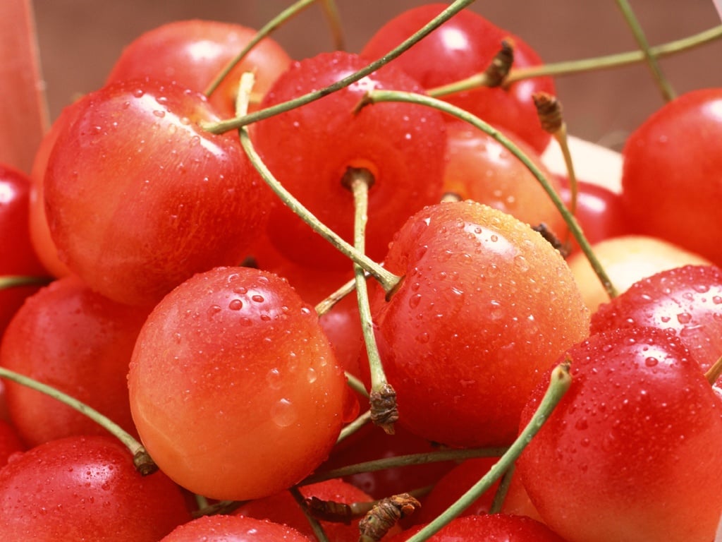Hình ảnh quả cherry – Trái cây Cevis