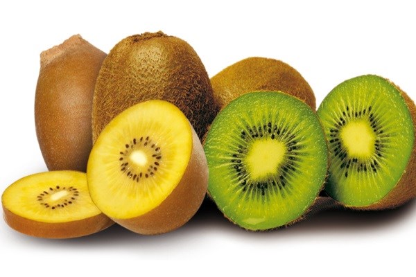 Image result for công dụng của trái kiwi