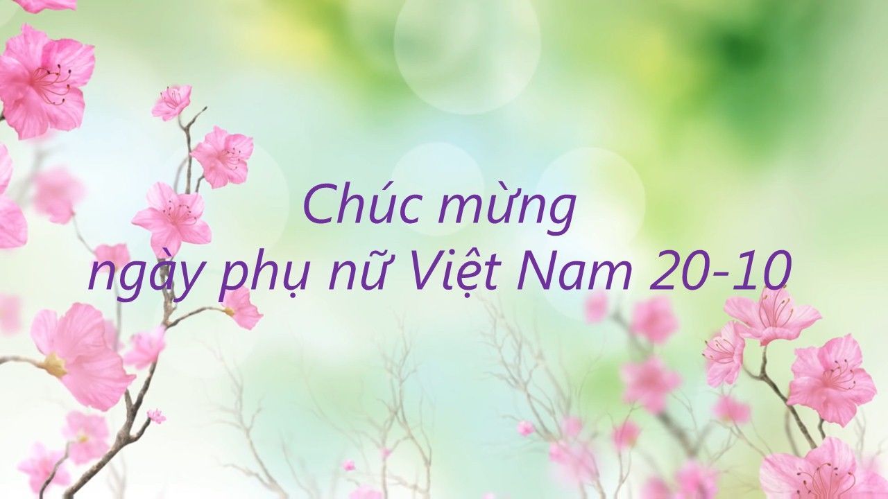 Làm nền động với video
