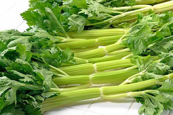 [Image: 3mh8wmzj222225hzzyxx-can-tay-giam-can.jpg]