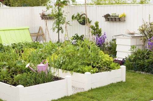 23 ý tưởng thiết kế mẫu vườn rau đẹp tại nhà cho các không gian khác
