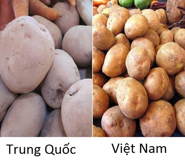 phân biệt 13 loại rau quả từ Việt Nam sang Trung Quốc