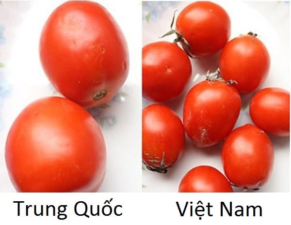 phân biệt 13 loại rau quả từ Việt Nam sang Trung Quốc