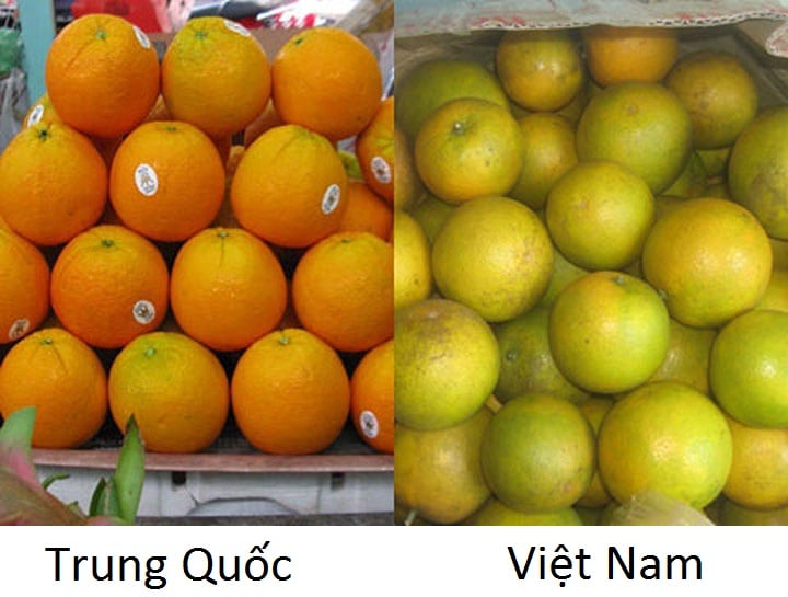 phân biệt 13 loại rau, quả Việt Nam - Trung Quốc