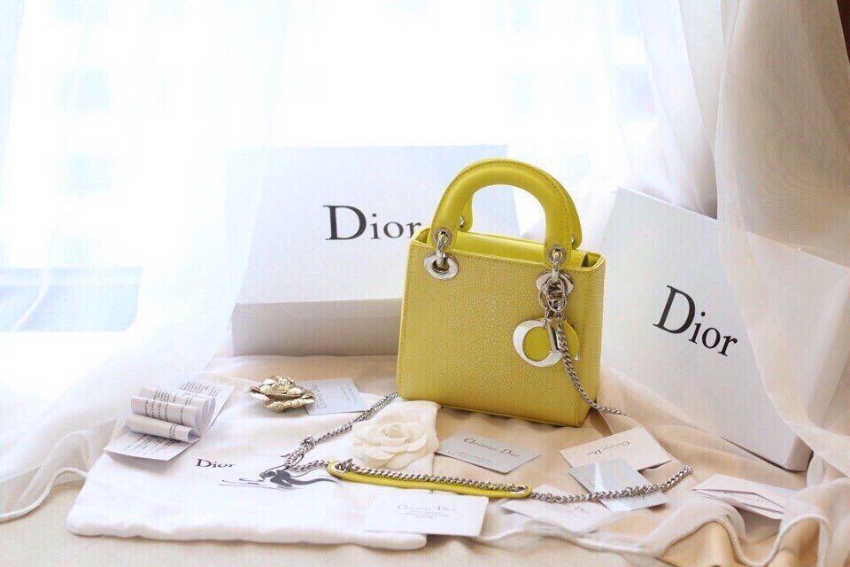 Túi Xách Dior Cá Đuối f1 ,full box - Giá 620.000 - Đẹp 102