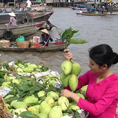 DU LỊCH MỸ THO - BẾN TRE ( Trong ngày )
