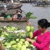 DU LỊCH MỸ THO - BẾN TRE ( Trong ngày )