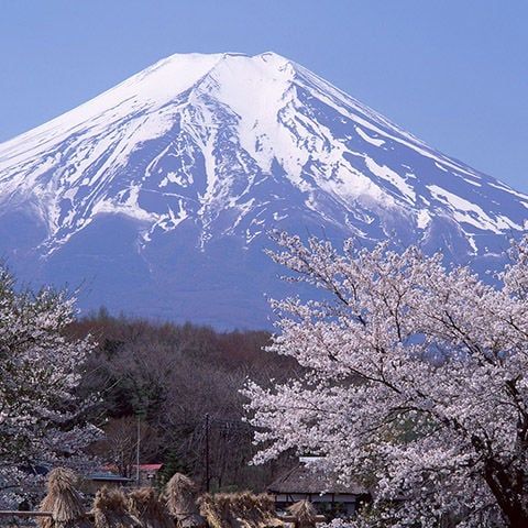 Tokyo - Fuji Mount – Kawaguchiko – Nagoya - Kyoto – Nara – Osaka 6N5D
