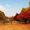 Tour du lịch Seoul - Everland - Phim trường KBS - Nami 4N3D