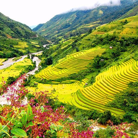 HÀ NỘI - SAPA - HÀM RỒNG 3N4Đ (KHÁCH SẠN 3 SAO, TÀU KHOANG 4)