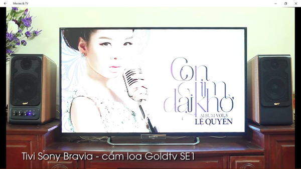 Loa Goldsound GoldTV SE1
