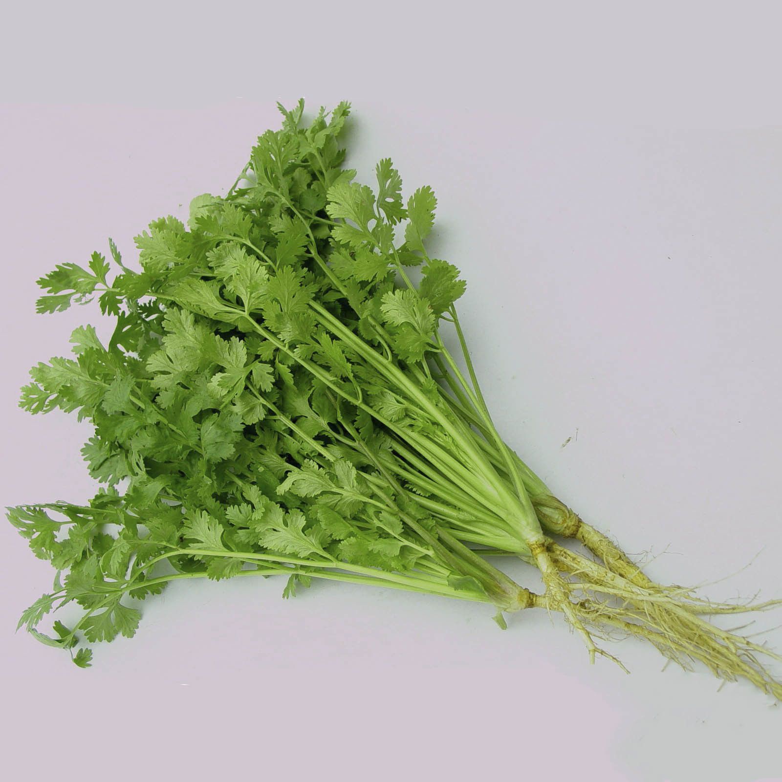 Ngò rí cắt gốc (200g)