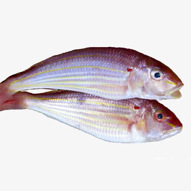 Cá Hường (6-9 con/kg)