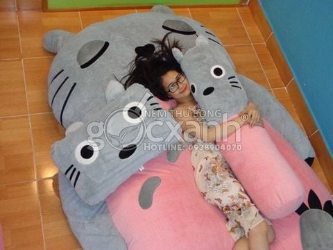 Nem thu Totoro ngu ngon