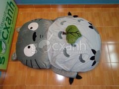 Nệm Totoro ngố yêu 1