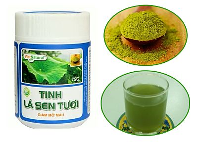tinh lá sen ob