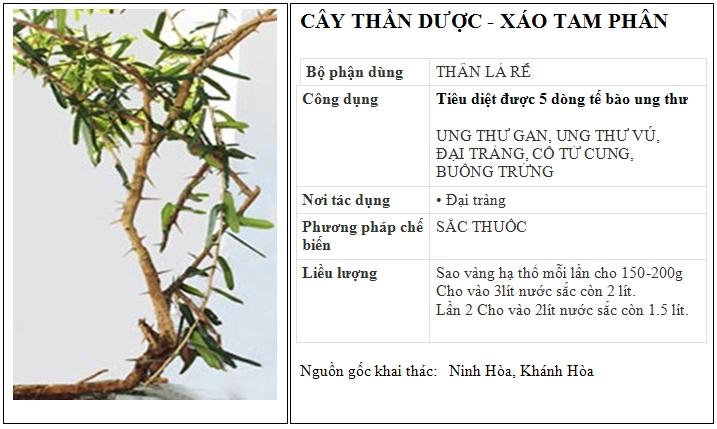 Xáo tam phân Ninh Hòa