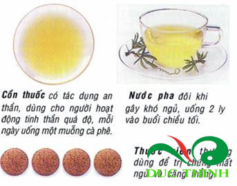 cao lac tien 3