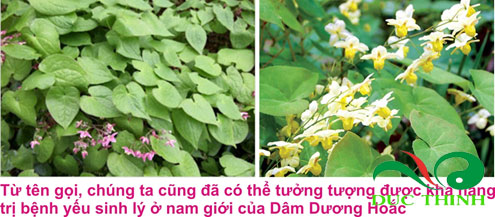 dam duong hoac 2